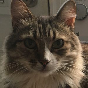 Meet your Posher, Sonja